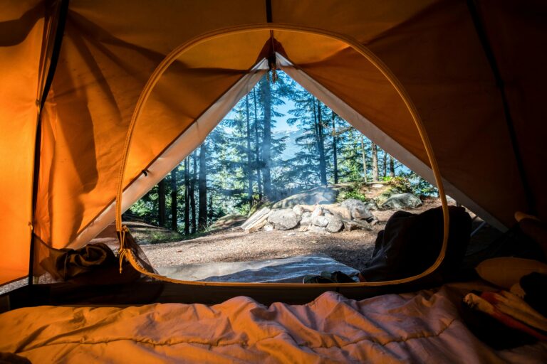Orange dome tent pitched near green trees, illustrating how camping tent size affects pitch footprint