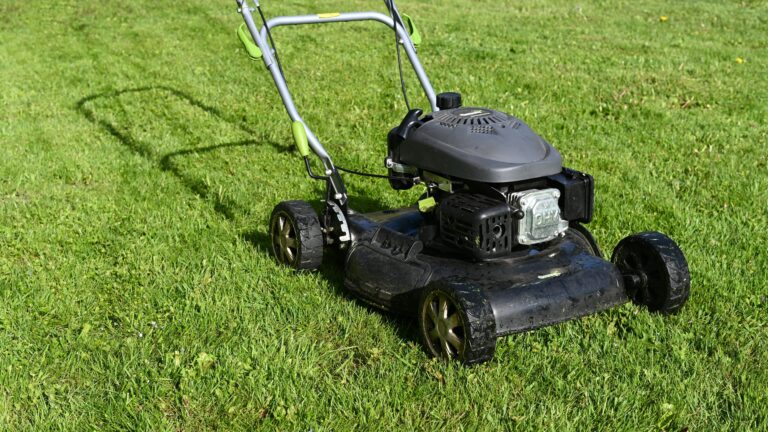 Robot lawn mower cutting grass on a well-kept UK garden lawn